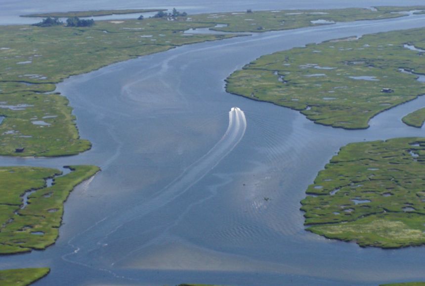 the-importance-of-estuaries-for-coastal-protection-nature-blog-network